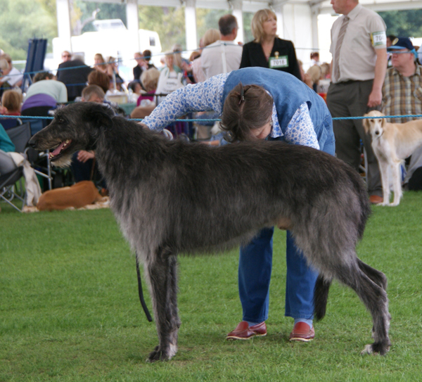 Greyfriars Gille of Beardswood.